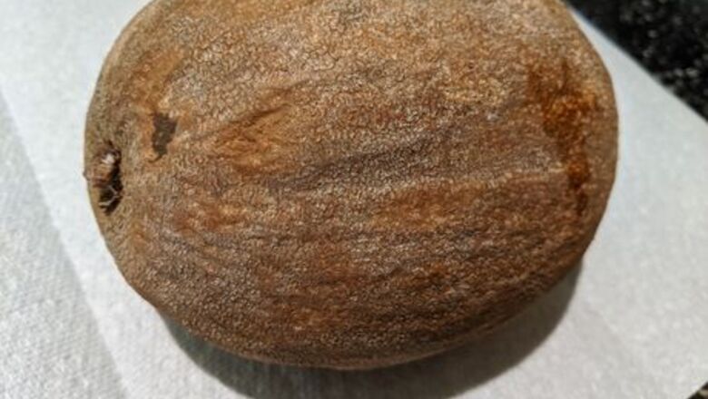 How to Prepare Mamey Sapote Fruit for Eating