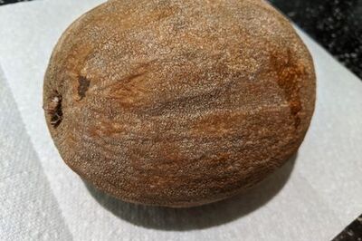 How to Prepare Mamey Sapote Fruit for Eating