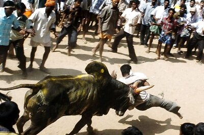 Jallikattu Row: DMK to Hold State-wide Stir Against Centre on Friday