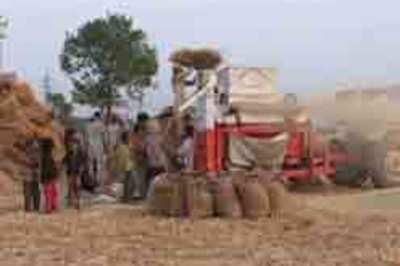 Aus police probe India's wheat deal
