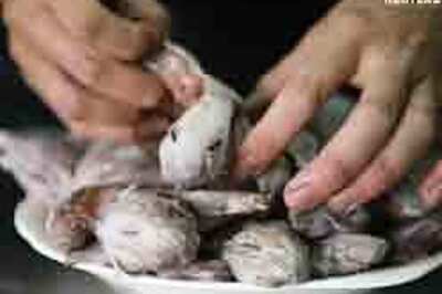 Not for the scaredy-cats: Bihar's new rat delicacies