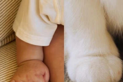 Son Ye Jin Shares First Photo Of Son, Compares His Hand With Cat And Leaves Fans In Splits