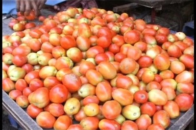 Eating tomatoes helps fight depression: Study