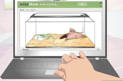 How to Build an Iguana Cage