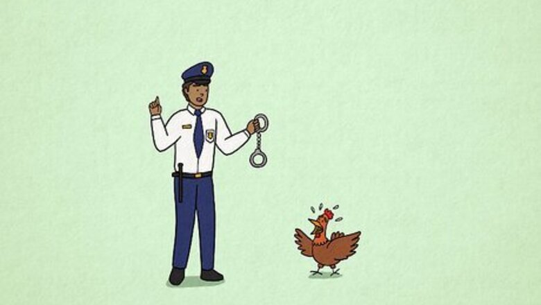 Strange, Funny, and Crazy Laws in the United States