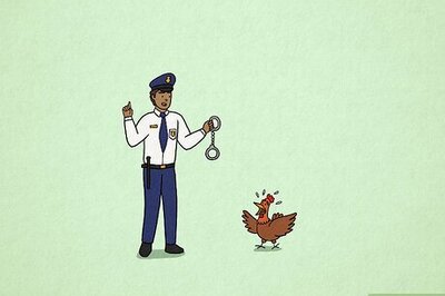 Strange, Funny, and Crazy Laws in the United States