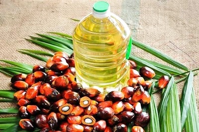 Cooking Oil May Become Cheaper Soon 