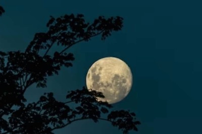 Chaitra Purnima 2024: Date, Auspicious Timings And Rituals