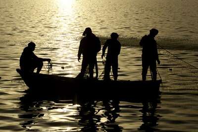 Seven Tamil Nadu Fishermen Arrested by Sri Lankan Navy
