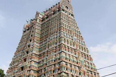 HC for scrapping passes to VIPs in TN temples