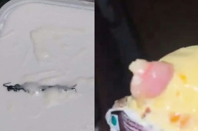 Dead Mouse In Hershey’s Syrup To Finger In Ice-cream, Bizarre Things Found In Food In 2024