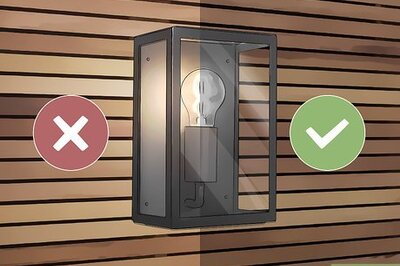 How to Get Rid of Toads in Your Yard