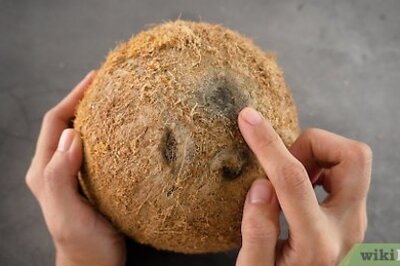 Crack, Clean, & Remove the Meat from a Coconut