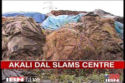 Punjab grain rotting: FCI to reply in court