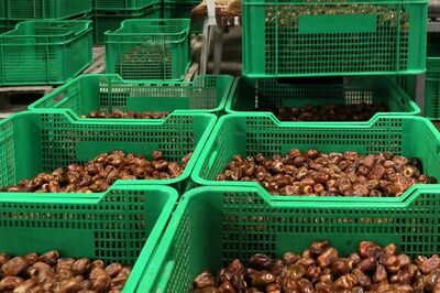 Customs Register 2 Cases Against Kerala Govt for Accepting Consignments by UAE Consulate for Personal Use