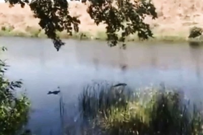 NHRC Sends Notice to UP, Bihar Over Floating Corpses in Ganga, PIL in SC Seeks SIT Probe