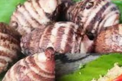 Step-by-step Guide To Making Gathi Kachur Paturi: A Must-try Monsoon Recipe