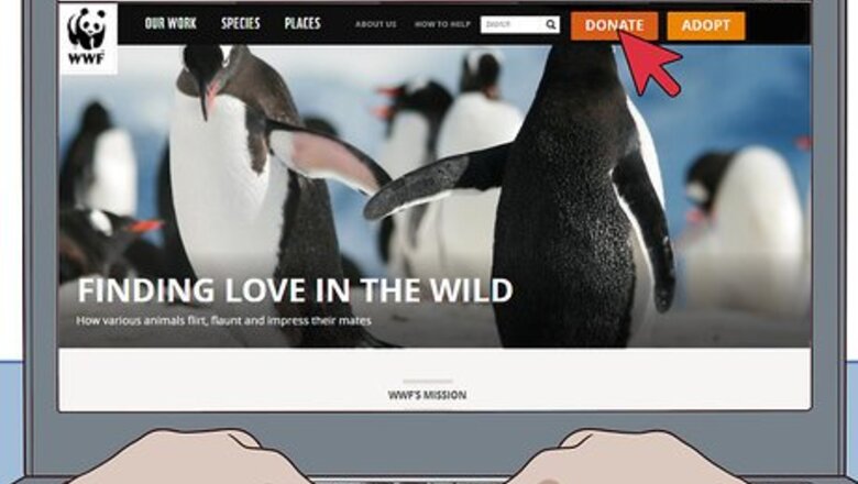How to Help Save Animals from Extinction