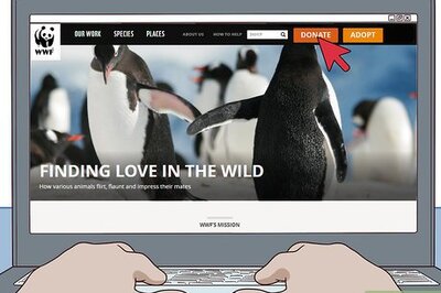 How to Help Save Animals from Extinction