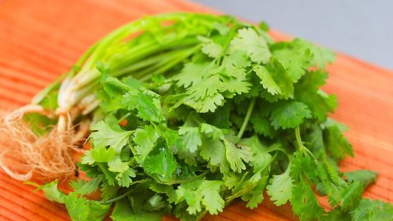 How to Store Herbs