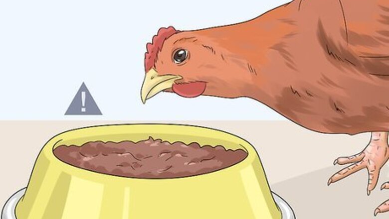 How to Feed Chickens Table Scraps