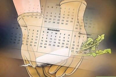 How to Plant a Fall Vegetable Garden