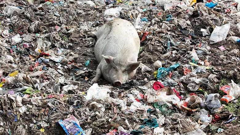 West Bengal Assembly Passes Bill to Fine Citizens up to Rs 1 Lakh for Littering Public Spaces