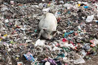 West Bengal Assembly Passes Bill to Fine Citizens up to Rs 1 Lakh for Littering Public Spaces