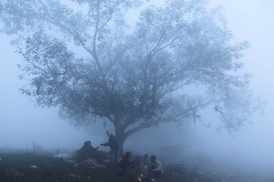 Delhi Air is 'Poor', 'Severe': As People Talk in 'AQI Terms', News18 Explains All About Pollution Tracker