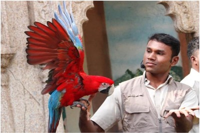 Chirping of Birds at the Press of a Button: Kanpur Zoo Introduces Innovative 'Virtual Centre'