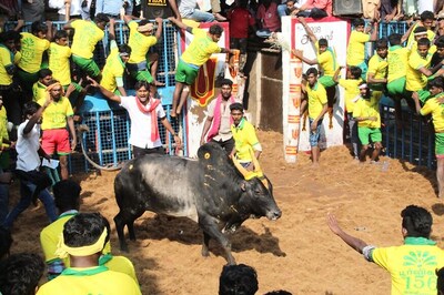 One Killed, Over 60 Injured in Jallikattu Event