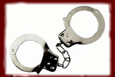 Japanese Man Accused of Stabbing 19 Disabled People Pleads Not Guilty