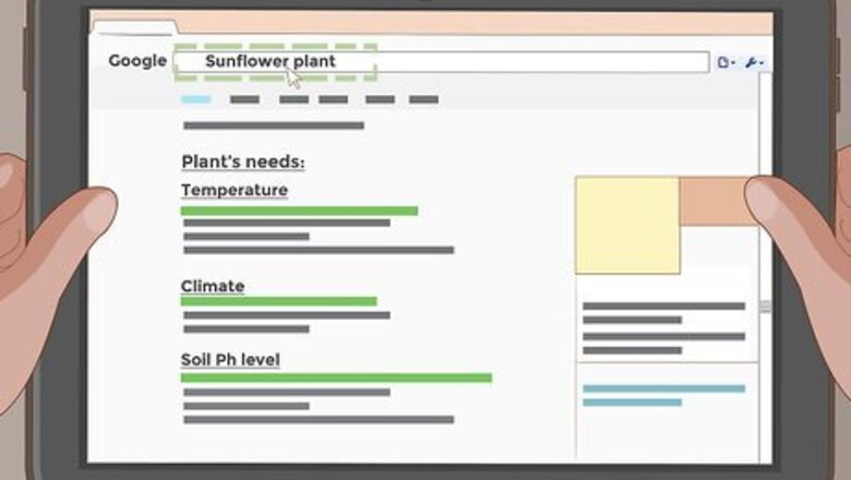 How to Water Indoor Plants