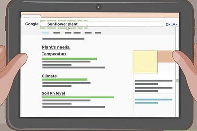 How to Water Indoor Plants