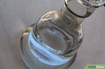 How to Care for Flowers