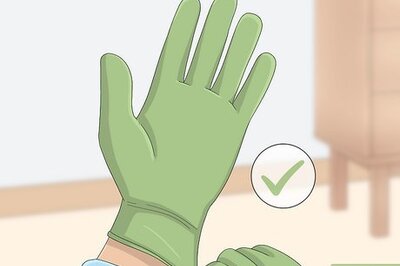 How to Train a Hamster Not to Bite