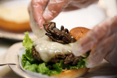 You Want Tarantula With That? At US Burger Joint, It's an Option