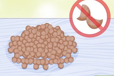 How to Grow Lentils in Your Garden or in a Container