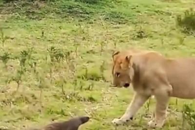 5 Must See Places in Kenya