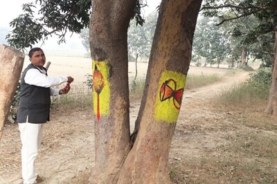 Armed with Paints, Blade & 'Teeka', UP Man Turns Trees into God to Save Them from Tree Fellers