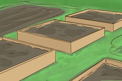 How to Make Money Growing Vegetables