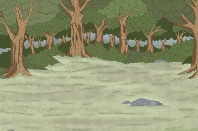 How to Build an Easy Woven Stick Fort