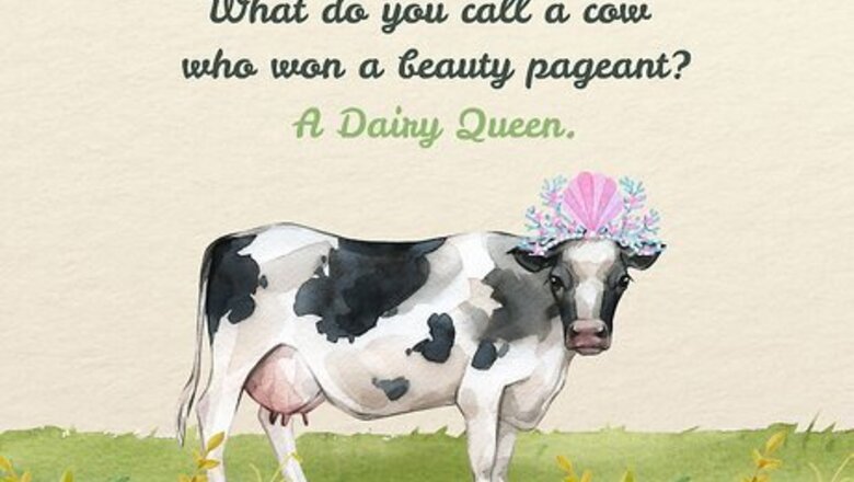 110+ Cow Jokes to Make You Spit Take Your Milk