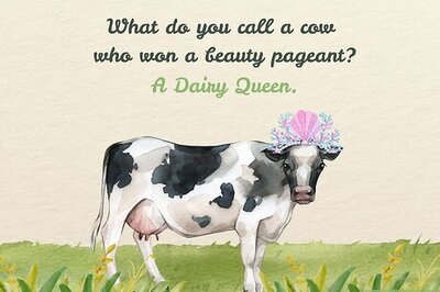 110+ Cow Jokes to Make You Spit Take Your Milk