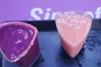 Young Entrepreneur Turns Gujarat’s 'Jamun Shots' Idea Into Fruit Shake Start-Up in Kota