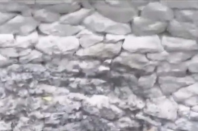 Last Spotted in South Africa, Rare ‘Strawberry’ Leopard Sighted in Ranakpur Hills of Rajasthan