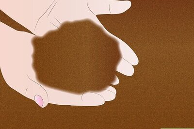 How to Propagate Pinus Radiata