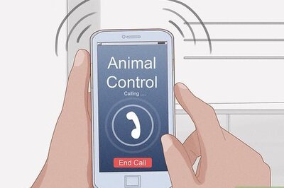 How to Get Rid of Snakes