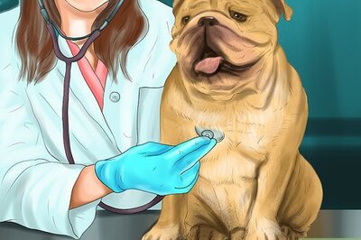 How to Prepare for Breed Specific Health Problems in Dogs