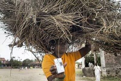 We lost in Mumbai because of MNS, says BJP